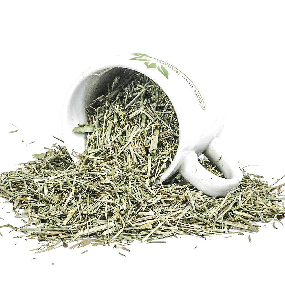 Миниатюра: HORSETAIL Herb Sustainably Grown Calming Tea ( Equisetum arvense)