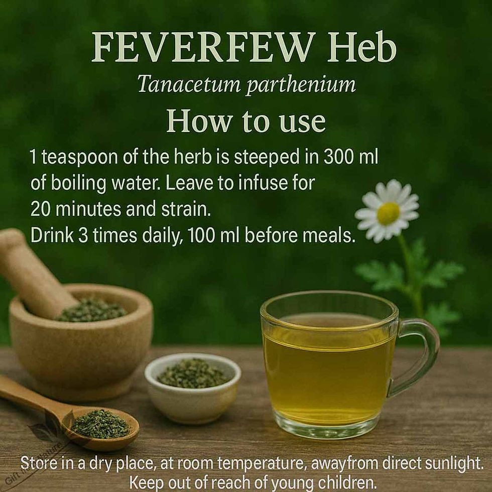 Miniaturbild: FEVERFEW Herb Hand Selected Premium Quality ( Tanacetum parthenium)