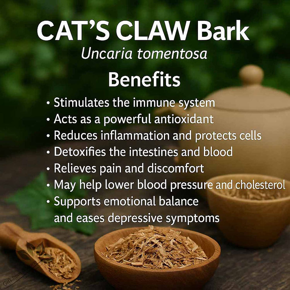Миниатюра: CATS CLAW Bark Holistic Blend Calming Herbs ( Uncaria tomentosa)