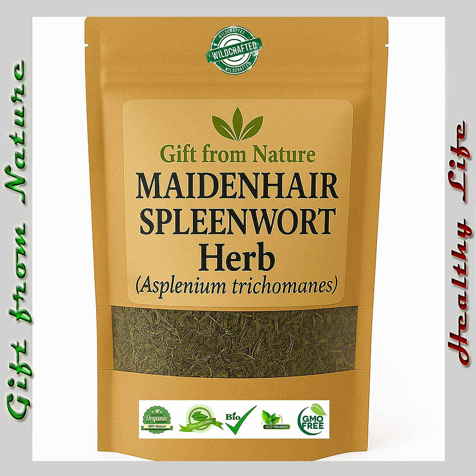 MAIDENHAIR SPLEENWOR Culinary Locally sourced ( Asplenium trichomane), Eldira - Natural Herbal Remedy.