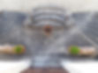 Front door step.jpg