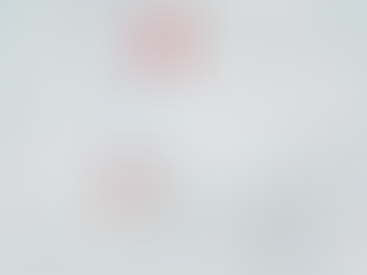 Deponie in Birmensdof