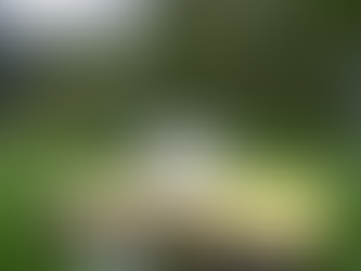 Gegen-Wind Knonaueramt Newsletter April 2026