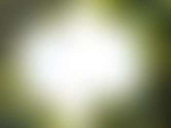 Es grünt auf der Welt