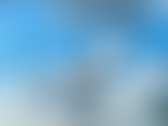 Die Sache mit den toten Vögeln