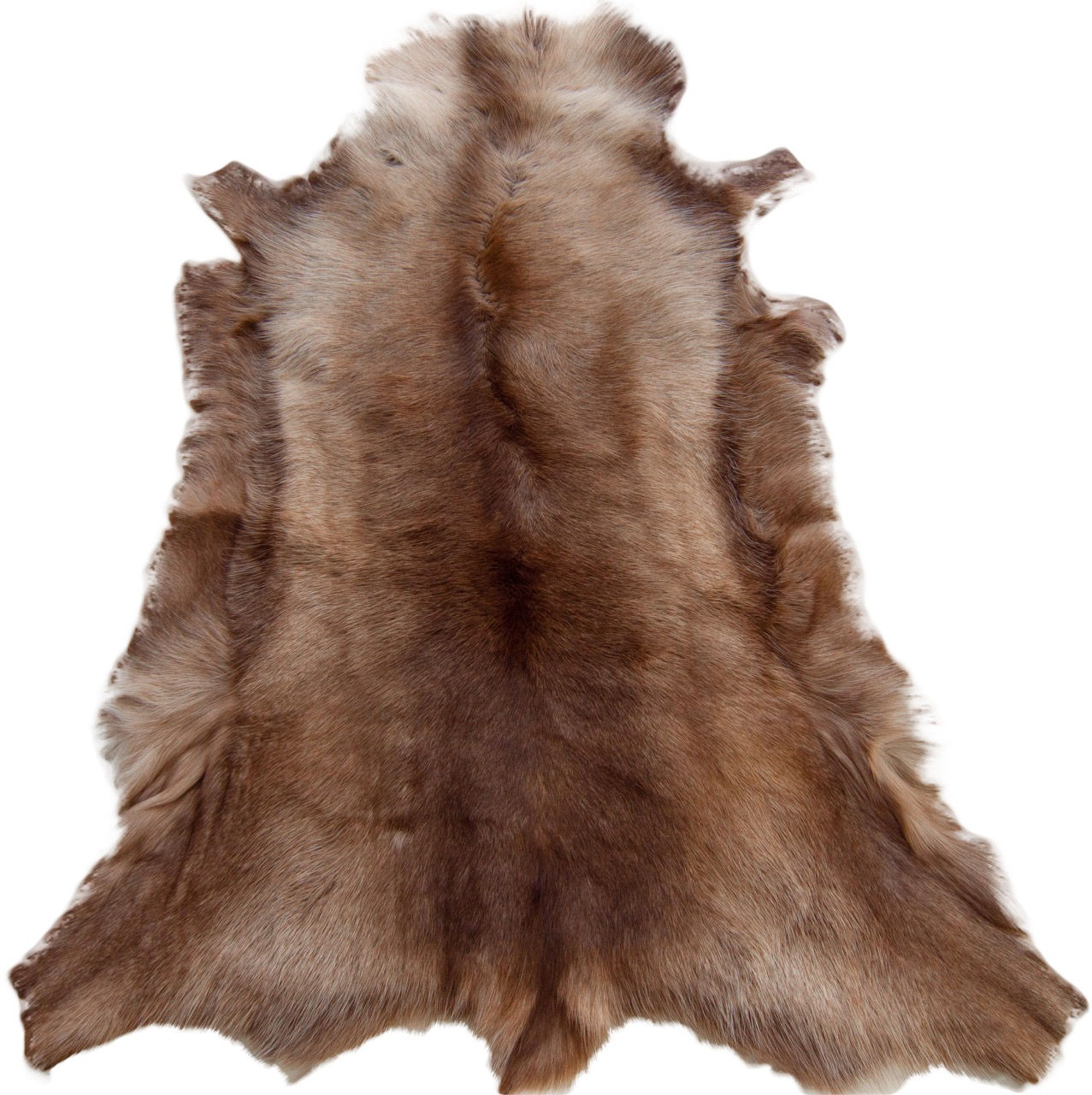 Reindeer Skins
