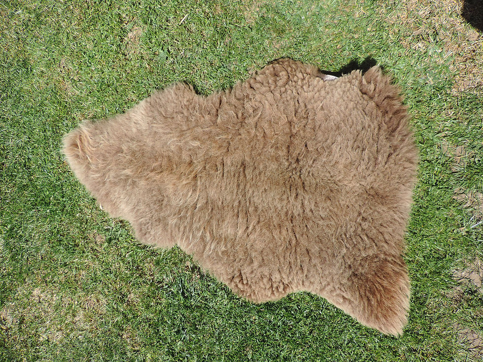 Thumbnail: SOAY Sheepskin Rug - Small