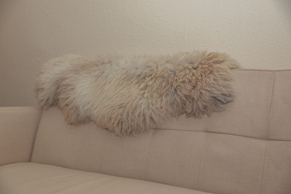 Thumbnail: Ryeland Type Sheepskin Large