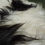 Thumbnail: Icelandic Sheepskin Rugs  - Mixed