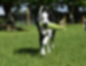 IMG-20220608-WA0005_edited.jpg