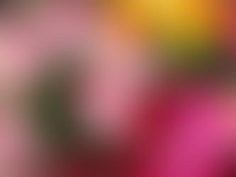 12月20日（土）、第14回「Poppin Rose Market」を開催しました!