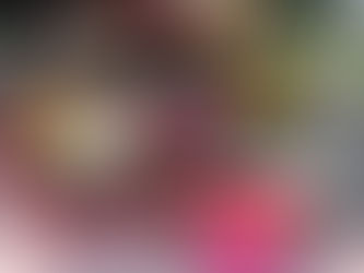 Poppin Rose Market vol.13