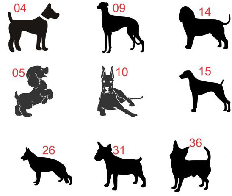 Adesivo Decorativo Cachorro Dog Pet Veterinaria 03