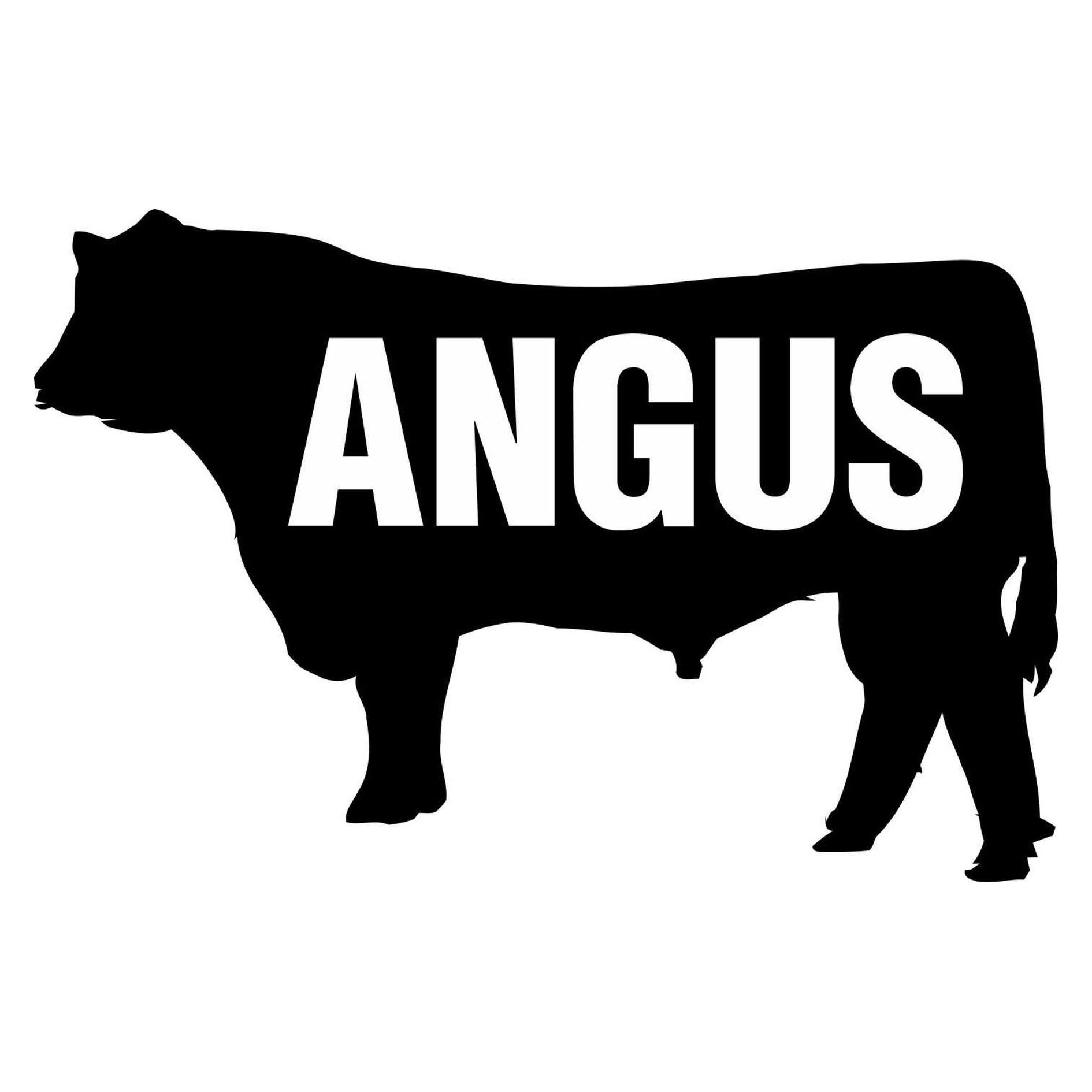 Adesivo Boi Angus 12x8cm