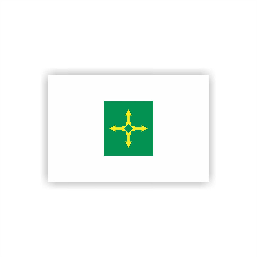 Miniatura: Adesivo Personalizado  10x6,5cm Bandeira Estados Brasileiros parte 02