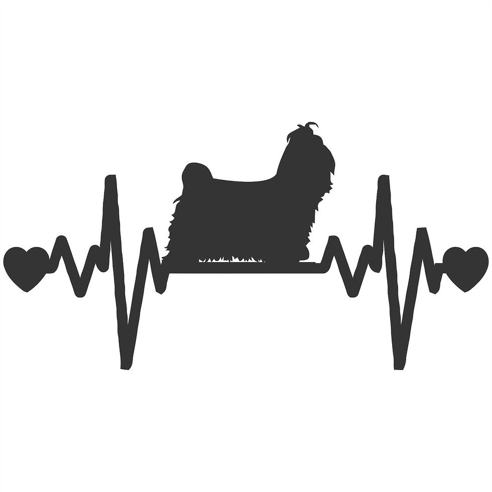 Adesivo Shit Tzu 20x12cm a315