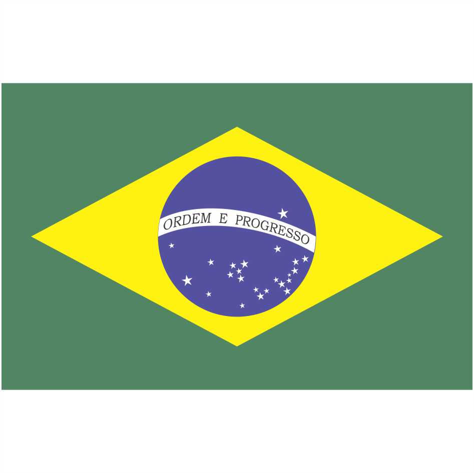 Adesivo Personalizado Bandeira Brasil 6x4 10x6,5 15x9,7 20x13cm a226