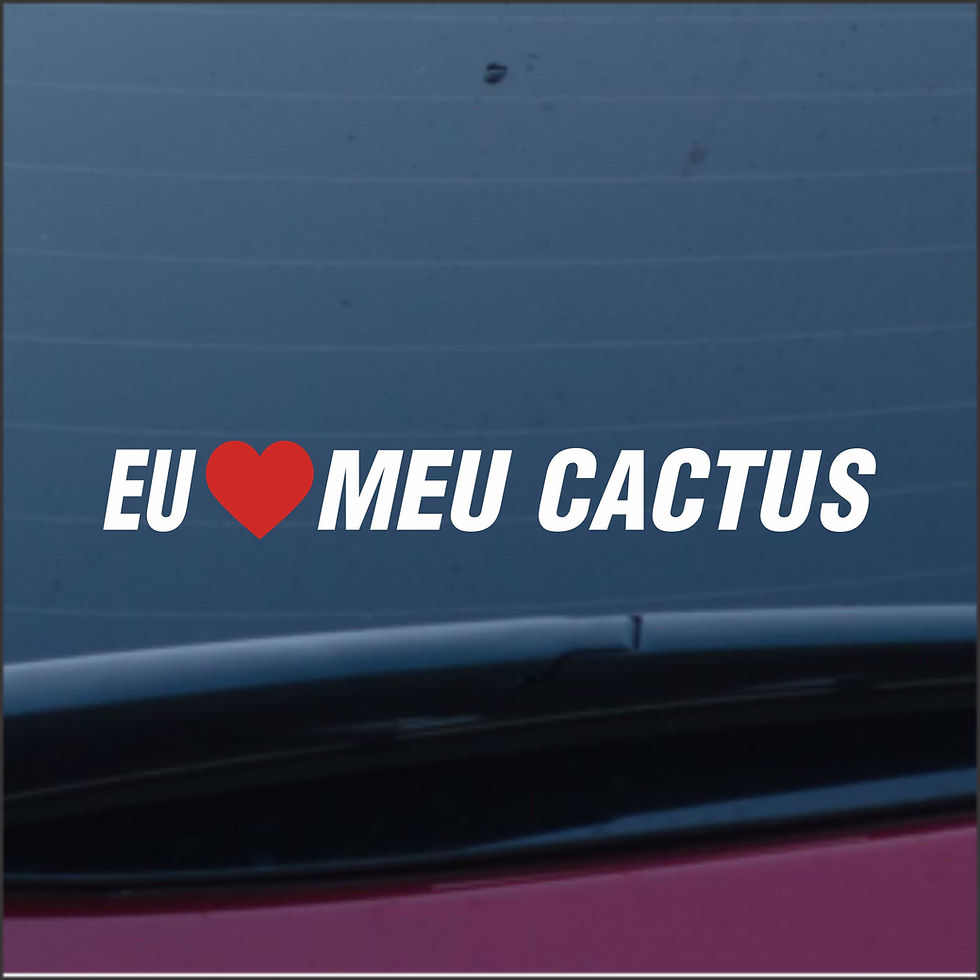 Adesivo 20x2cm Eu Amo Meu Cactus a340