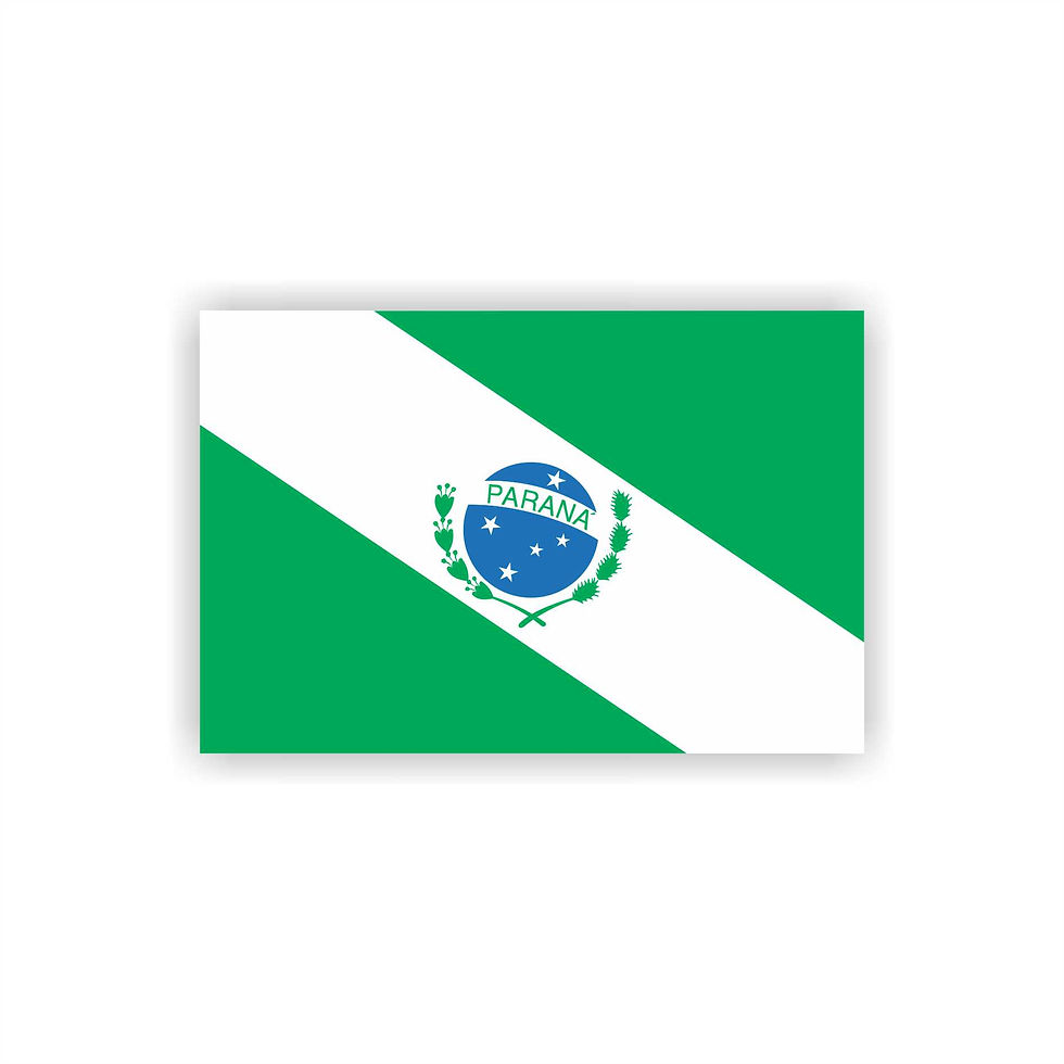 Miniatura: Adesivo Personalizado  10x6,5cm Bandeira Estados Brasileiros parte 02