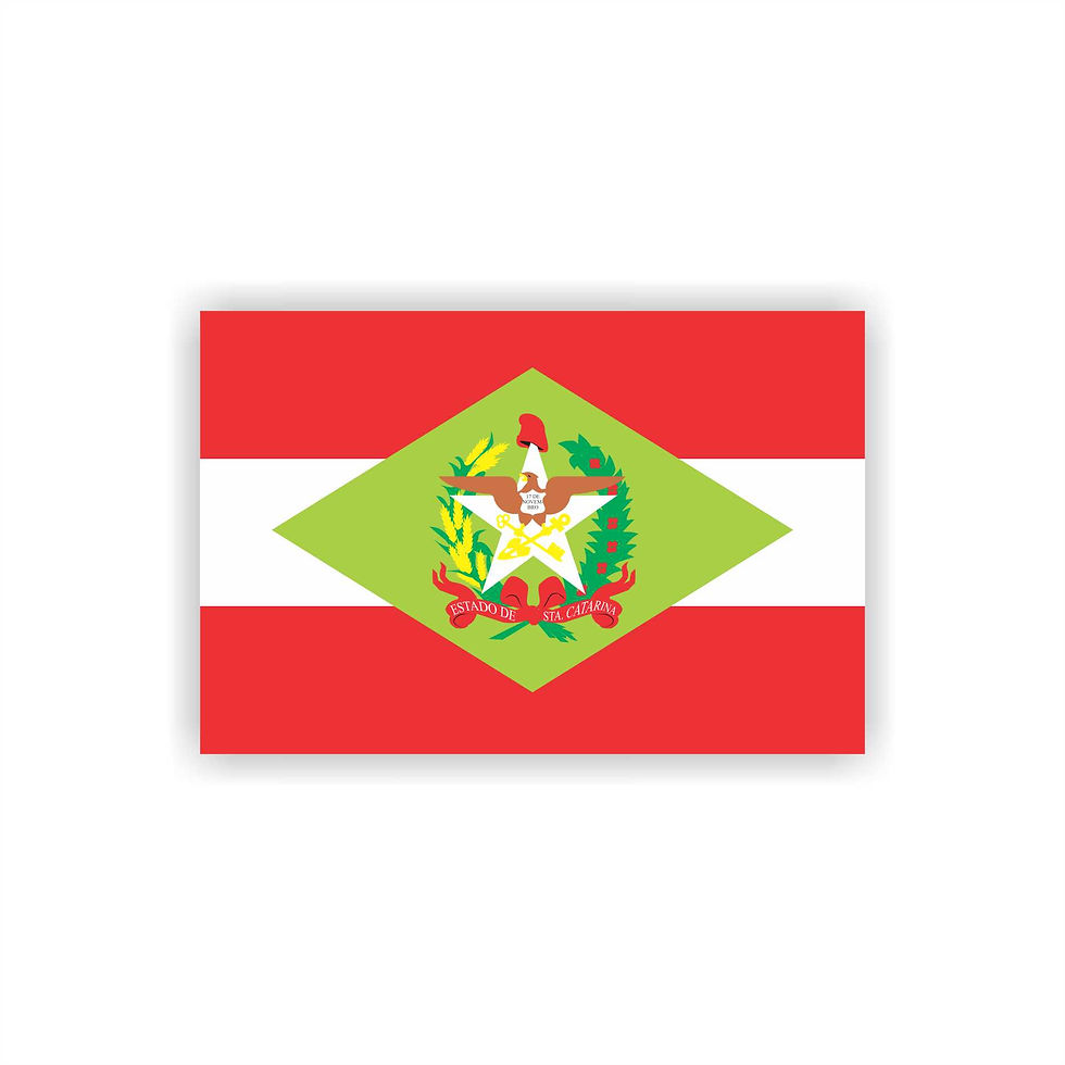 Miniatura: Adesivo Personalizado  10x6,5cm Bandeira Estados Brasileiros parte 02