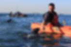 Kayaking umongst the seals