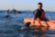 Kayak with the seals