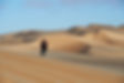Photography tour to the dunes near Sandwich Harbour