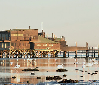 Walvis Bay Lagoon