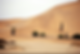 Dune 7