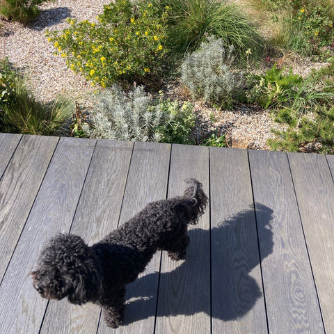 Thames Estuary Garden