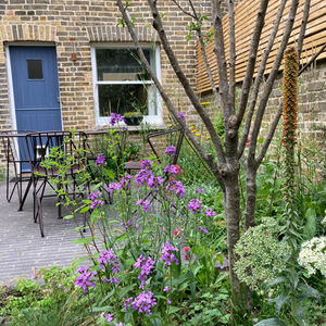 City Mews Courtyard