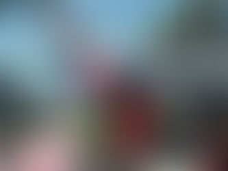 The Return of Slamball