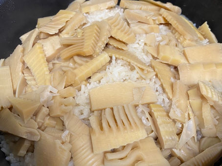 初物!たけのこ!