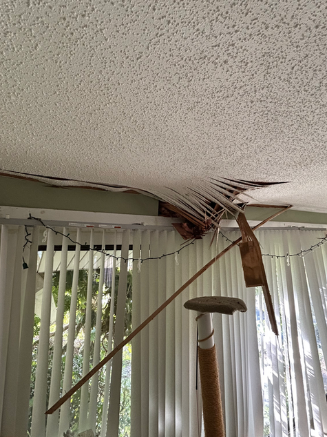 Damaged home interior during insurance restoration