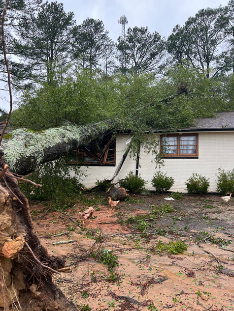 Fallen tree and debris beside storm damaged home