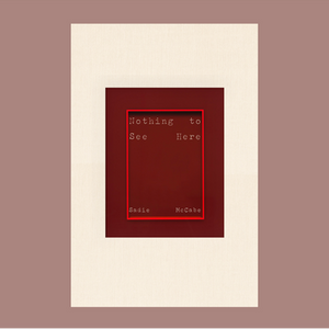 Nothing To See Here Book