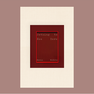 Nothing To See Here Book