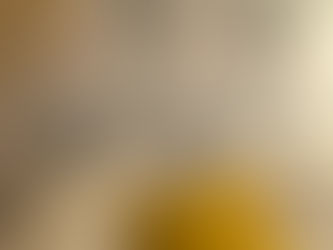 Les bases de la décoration intérieure : les bases pour créer un intérieur harmonieux