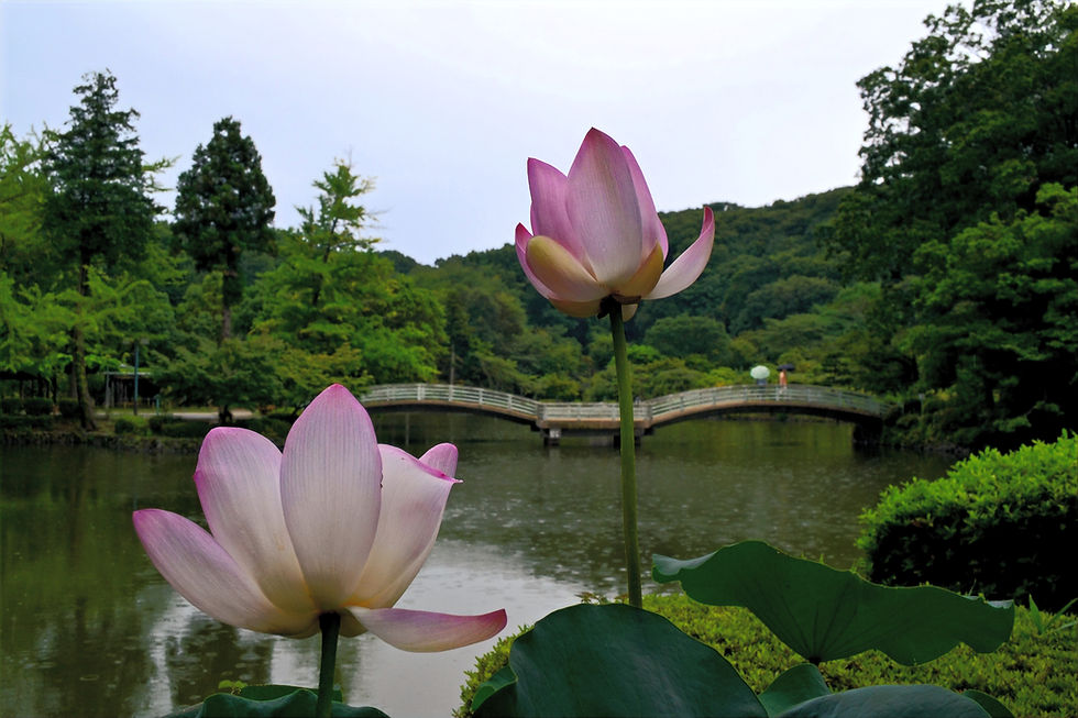 "Yakushi ike park", Tokyo, Machida
