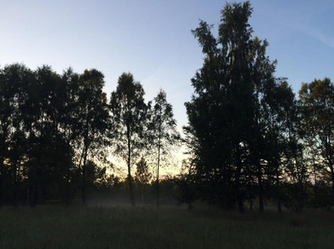 A Break From the City