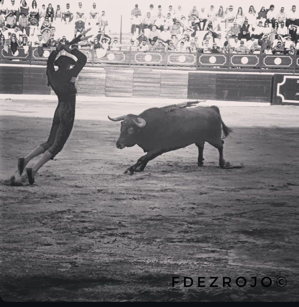 Destreza