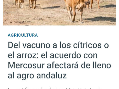 publicación noticia Mercosur