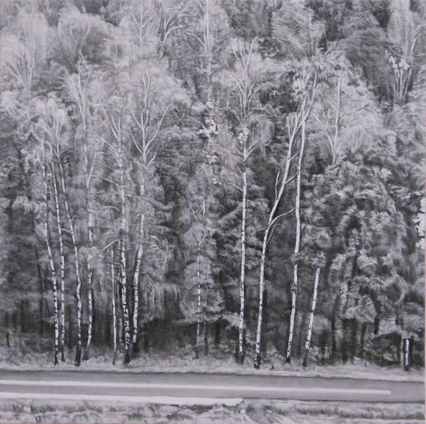 birch 1.jpg