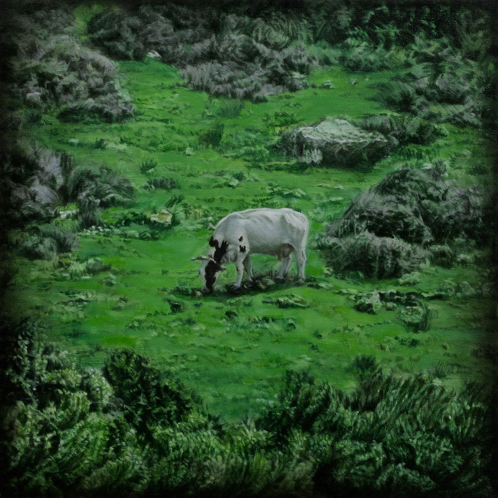 The Meadow