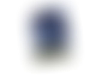 Der zweite Fall von Desiree Winter