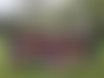 Newsletter: Wednesday 24th April 