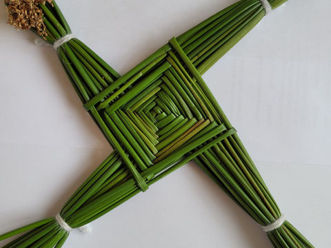 Newsletter: Wednesday 28th January 2026