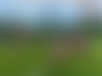 Ms. Gunning's Newsletter - 3rd November 2021