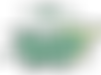 Newsletter 11th October 2023