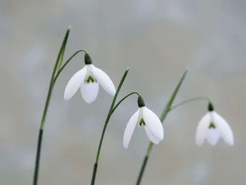 Newsletter: Wednesday 11th February 2026